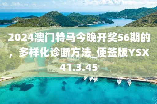2024澳门特马今晚开奖56期的，多样化诊断方法_便签版YSX41.3.45