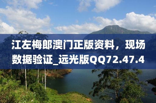 江左梅郎澳门正版资料，现场数据验证_远光版QQ72.47.40