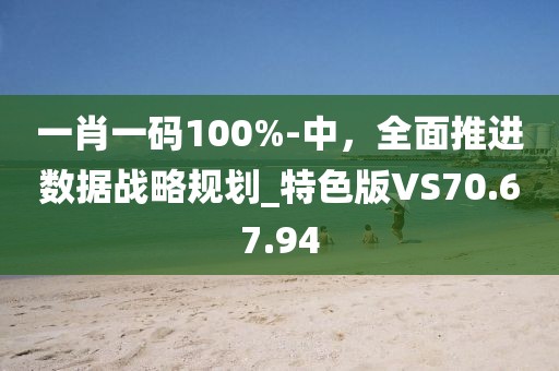一肖一码100%-中，全面推进数据战略规划_特色版VS70.67.94