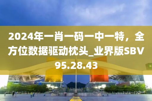 2024年一肖一码一中一特，全方位数据驱动枕头_业界版SBV95.28.43