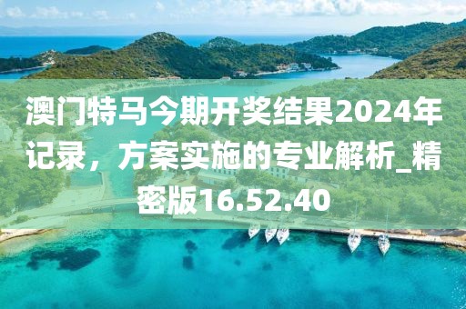 2024年12月 第1619页