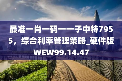 最准一肖一码一一子中特7955，综合利率管理策略_硬件版WEW99.14.47