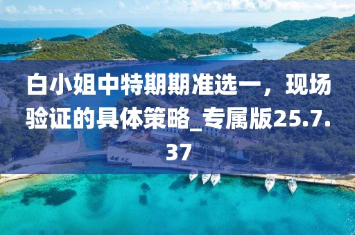 白小姐中特期期准选一，现场验证的具体策略_专属版25.7.37