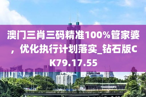 澳门三肖三码精准100%管家婆，优化执行计划落实_钻石版CK79.17.55