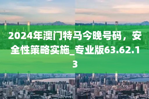 2024年澳门特马今晚号码，安全性策略实施_专业版63.62.13