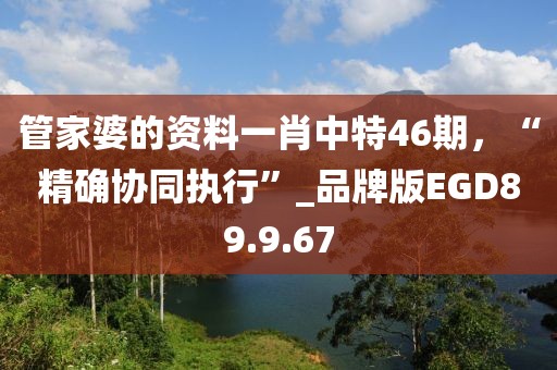 管家婆的资料一肖中特46期，“精确协同执行”_品牌版EGD89.9.67