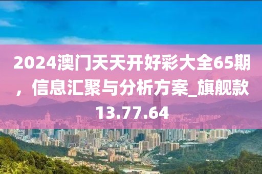 2024澳门天天开好彩大全65期，信息汇聚与分析方案_旗舰款13.77.64