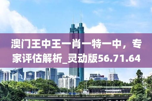 澳门王中王一肖一特一中，专家评估解析_灵动版56.71.64