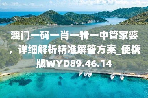 澳门一码一肖一特一中管家婆，详细解析精准解答方案_便携版WYD89.46.14