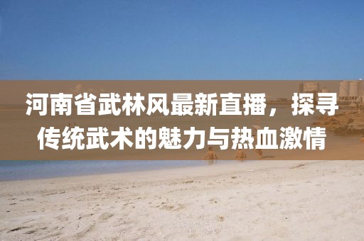 河南省武林风最新直播，探寻传统武术的魅力与热血激情