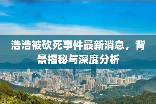 浩浩被砍死事件最新消息，背景揭秘与深度分析