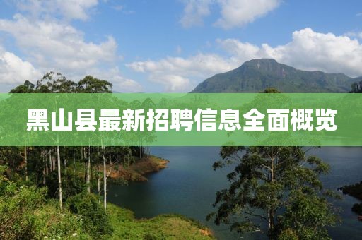 黑山县最新招聘信息全面概览
