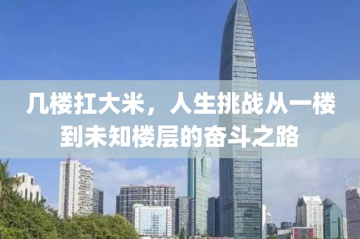 几楼扛大米，人生挑战从一楼到未知楼层的奋斗之路