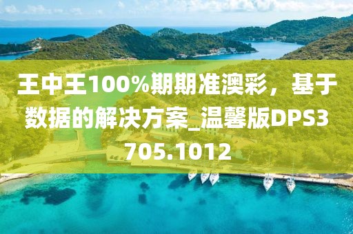 王中王100%期期准澳彩，基于数据的解决方案_温馨版DPS3705.1012