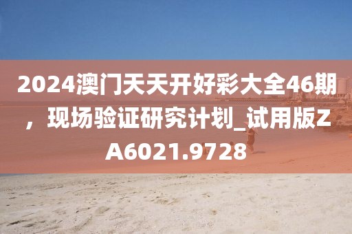 2024澳门天天开好彩大全46期，现场验证研究计划_试用版ZA6021.9728
