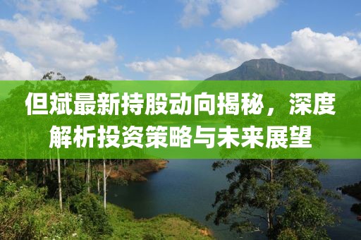 但斌最新持股动向揭秘，深度解析投资策略与未来展望