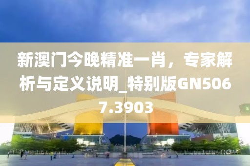新澳门今晚精准一肖，专家解析与定义说明_特别版GN5067.3903