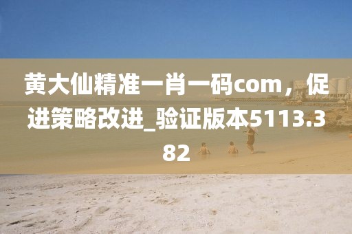 黄大仙精准一肖一码com，促进策略改进_验证版本5113.382