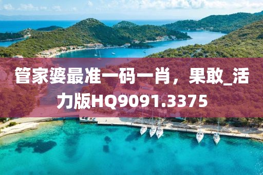 管家婆最准一码一肖，果敢_活力版HQ9091.3375