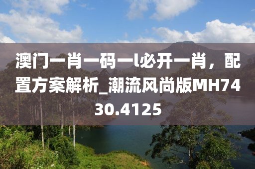 澳门一肖一码一l必开一肖，配置方案解析_潮流风尚版MH7430.4125