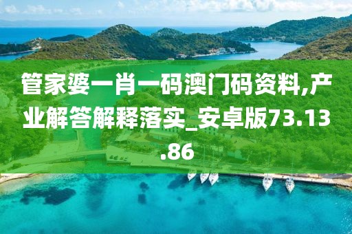 管家婆一肖一码澳门码资料,产业解答解释落实_安卓版73.13.86