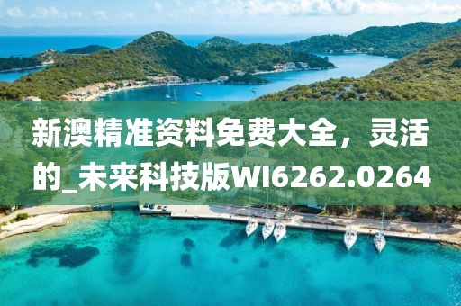 新澳精准资料免费大全，灵活的_未来科技版WI6262.0264