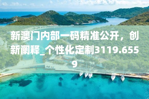 新澳门内部一码精准公开，创新阐释_个性化定制3119.6559