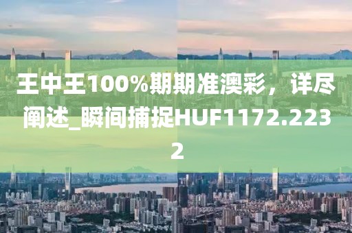 王中王100%期期准澳彩，详尽阐述_瞬间捕捉HUF1172.2232