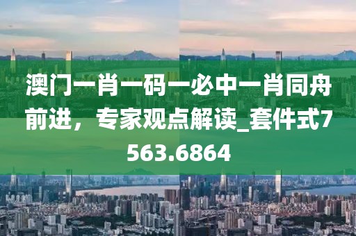 澳门一肖一码一必中一肖同舟前进，专家观点解读_套件式7563.6864