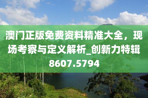 澳门正版免费资料精准大全，现场考察与定义解析_创新力特辑8607.5794