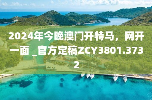 2024年今晚澳门开特马，网开一面 _官方定稿ZCY3801.3732