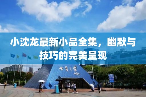 小沈龙最新小品全集，幽默与技巧的完美呈现