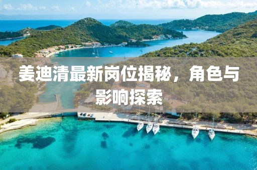 姜迪清最新岗位揭秘，角色与影响探索