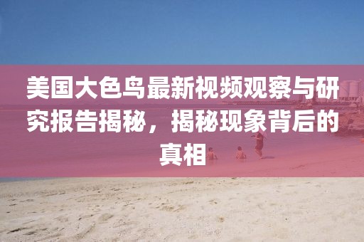美国大色鸟最新视频观察与研究报告揭秘，揭秘现象背后的真相