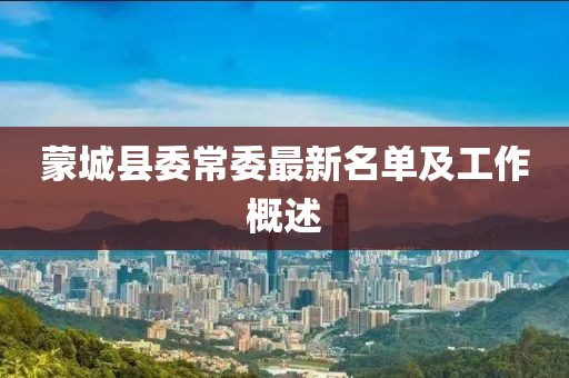 蒙城县委常委最新名单及工作概述