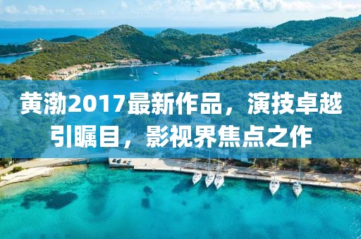 黄渤2017最新作品，演技卓越引瞩目，影视界焦点之作