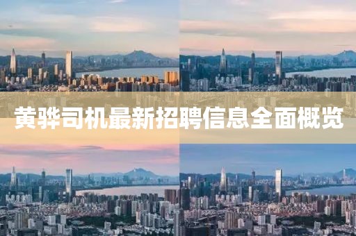 黄骅司机最新招聘信息全面概览