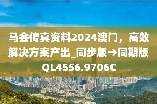 马会传真资料2024澳门，高效解决方案产出_同步版→同期版QL4556.9706C