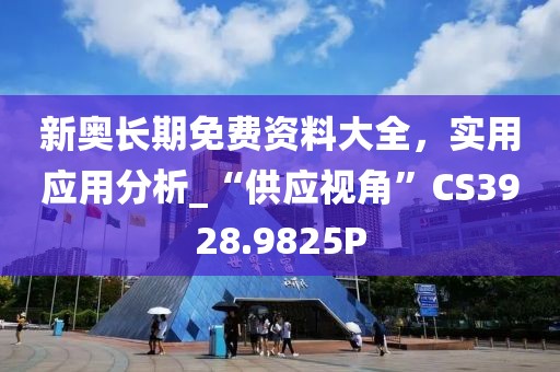 新奥长期免费资料大全，实用应用分析_“供应视角”CS3928.9825P