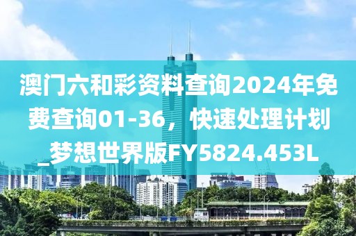 澳门六和彩资料查询2024年免费查询01-36，快速处理计划_梦想世界版FY5824.453L