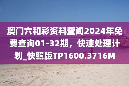澳门六和彩资料查询2024年免费查询01-32期，快速处理计划_快照版TP1600.3716M