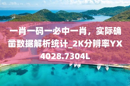 一肖一码一必中一肖，实际确凿数据解析统计_2K分辨率YX4028.7304L