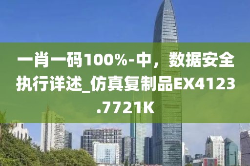 一肖一码100%-中，数据安全执行详述_仿真复制品EX4123.7721K