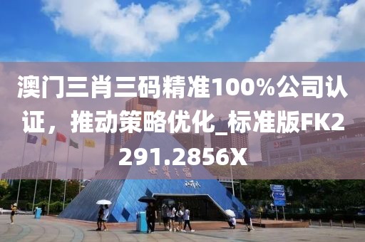 澳门三肖三码精准100%公司认证，推动策略优化_标准版FK2291.2856X