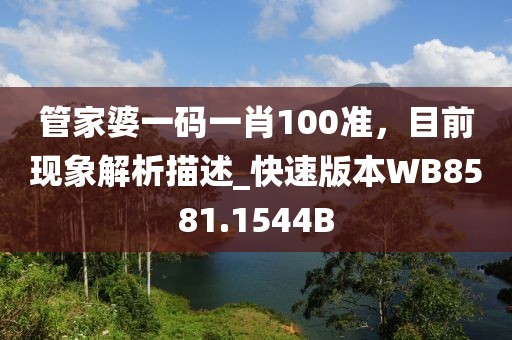 管家婆一码一肖100准，目前现象解析描述_快速版本WB8581.1544B