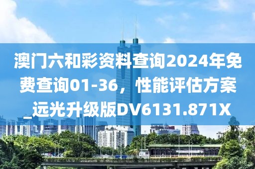 澳门六和彩资料查询2024年免费查询01-36，性能评估方案_远光升级版DV6131.871X