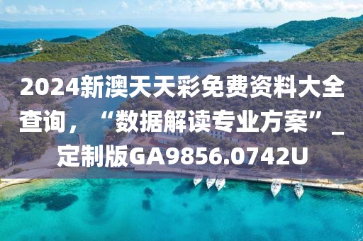 2024新澳天天彩免费资料大全查询，“数据解读专业方案”_定制版GA9856.0742U