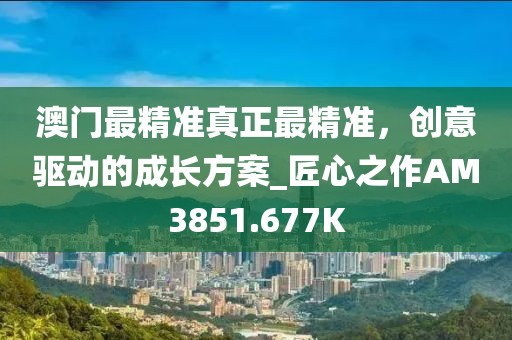 澳门最精准真正最精准，创意驱动的成长方案_匠心之作AM3851.677K