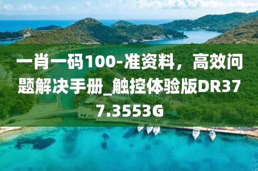一肖一码100-准资料，高效问题解决手册_触控体验版DR377.3553G