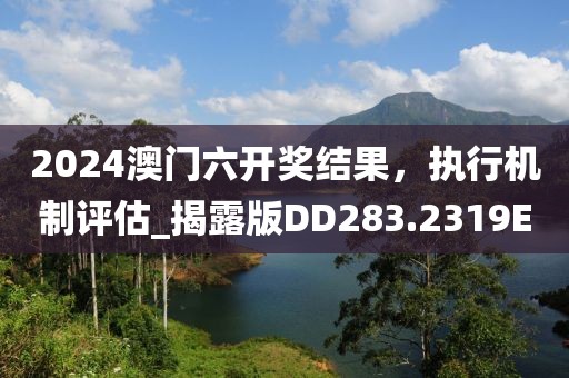 2024澳门六开奖结果，执行机制评估_揭露版DD283.2319E